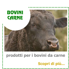 prodotti per i bovini da carne BOVINI  CARNE Scopri di più...