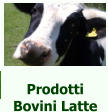 Prodotti Bovini Latte